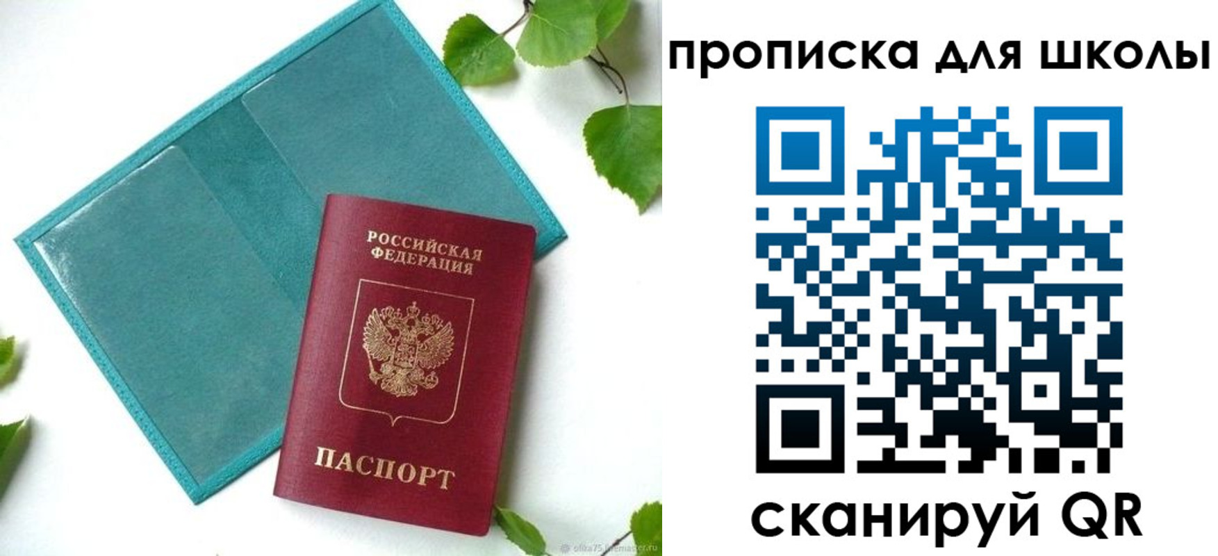 прописка в Лесозаводске